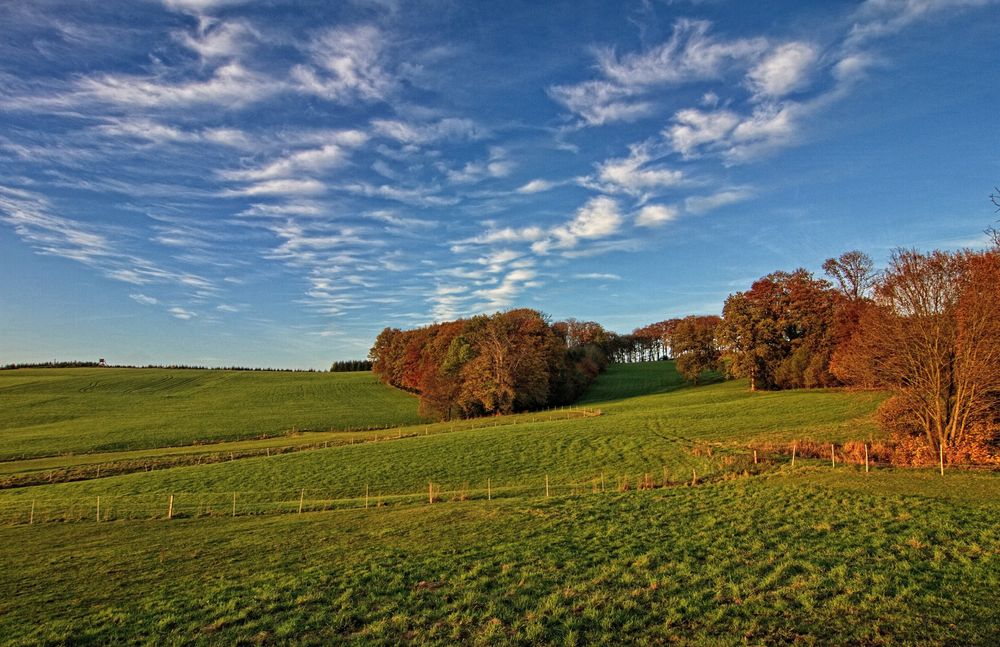 Herbstlandschaft