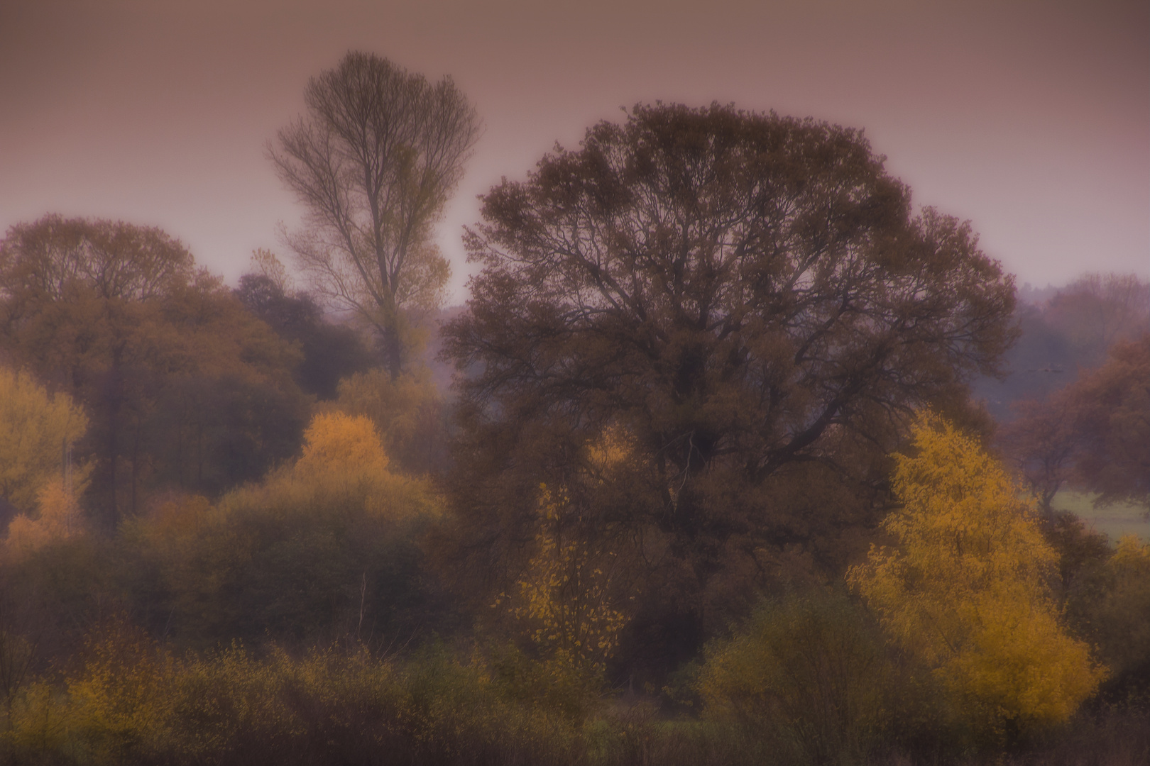 Herbstlandschaft Foto Bild Jahreszeiten Herbst Im Lauf Der Zeit Bilder Auf Fotocommunity