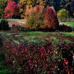 ...Herbstlandschaft....