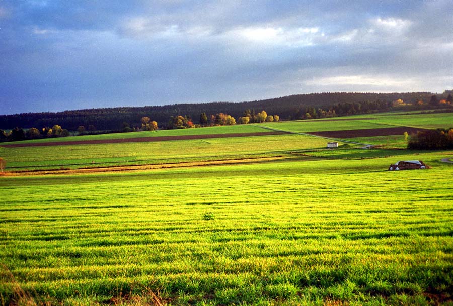 Herbstlandschaft