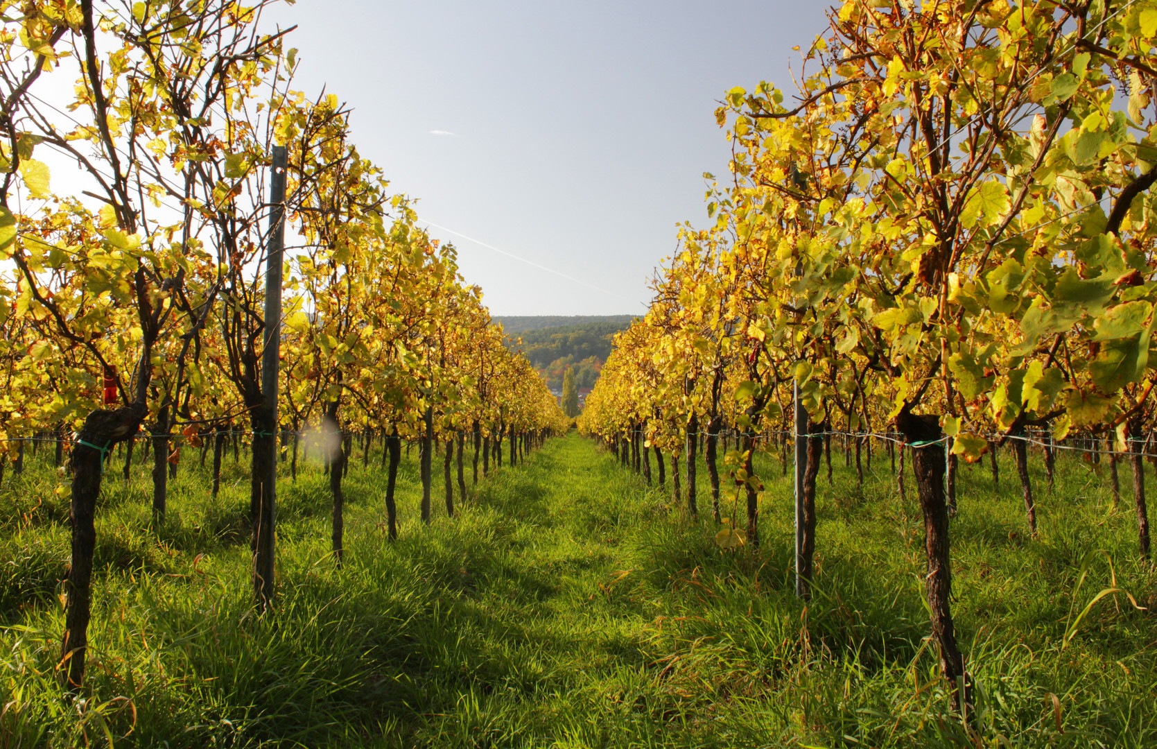 Herbstlandschaft