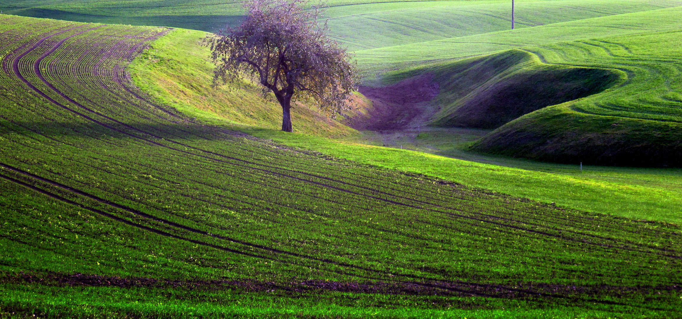 Herbstlandschaft