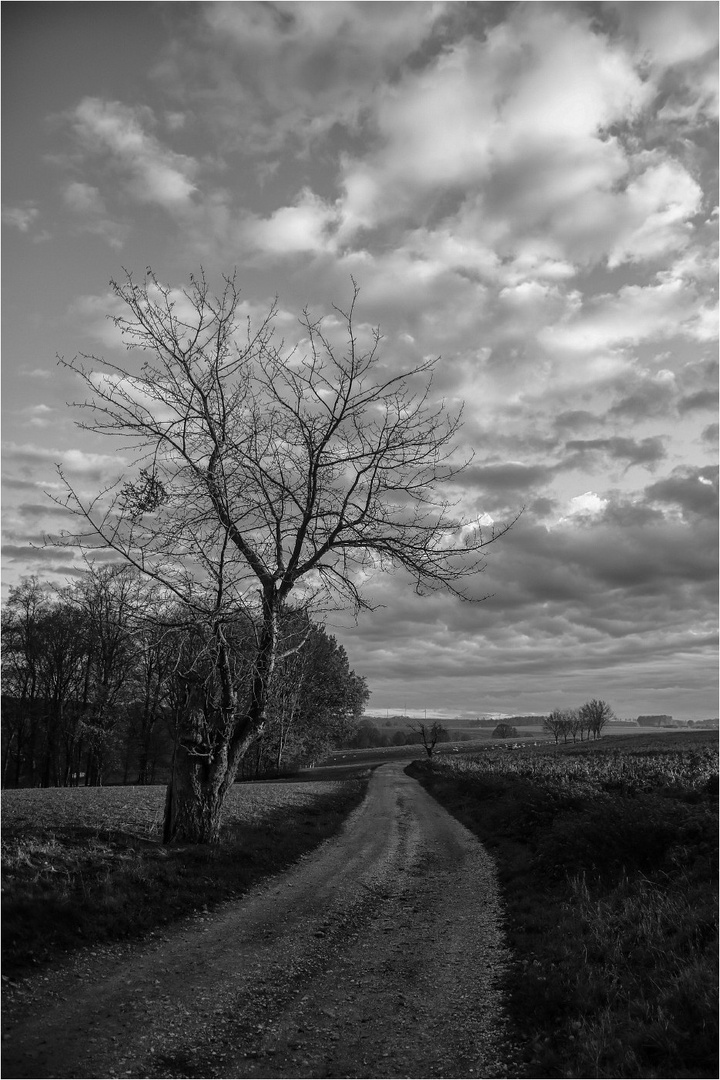 Herbstlandschaft