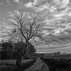 Herbstlandschaft