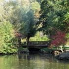 Herbstlandschaft 