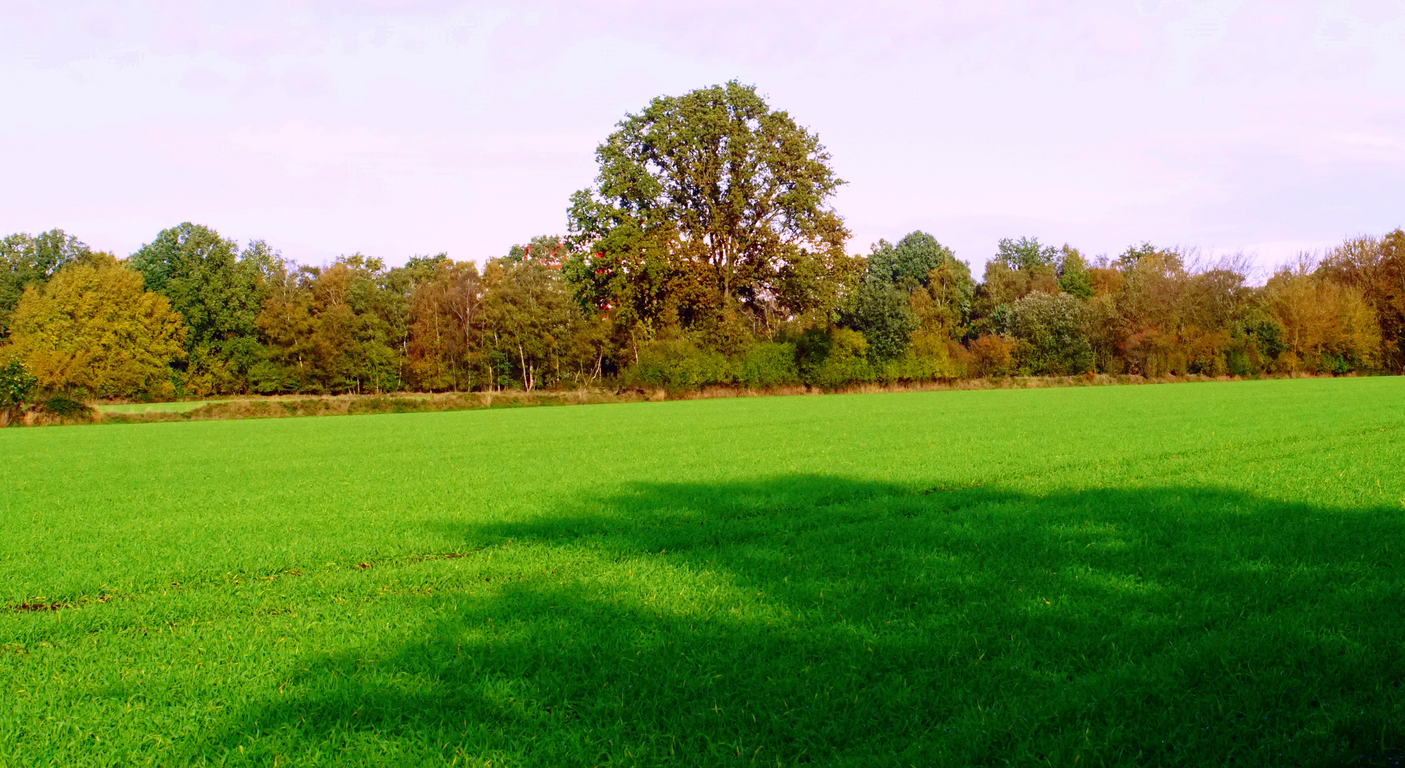 Herbstlandschaft