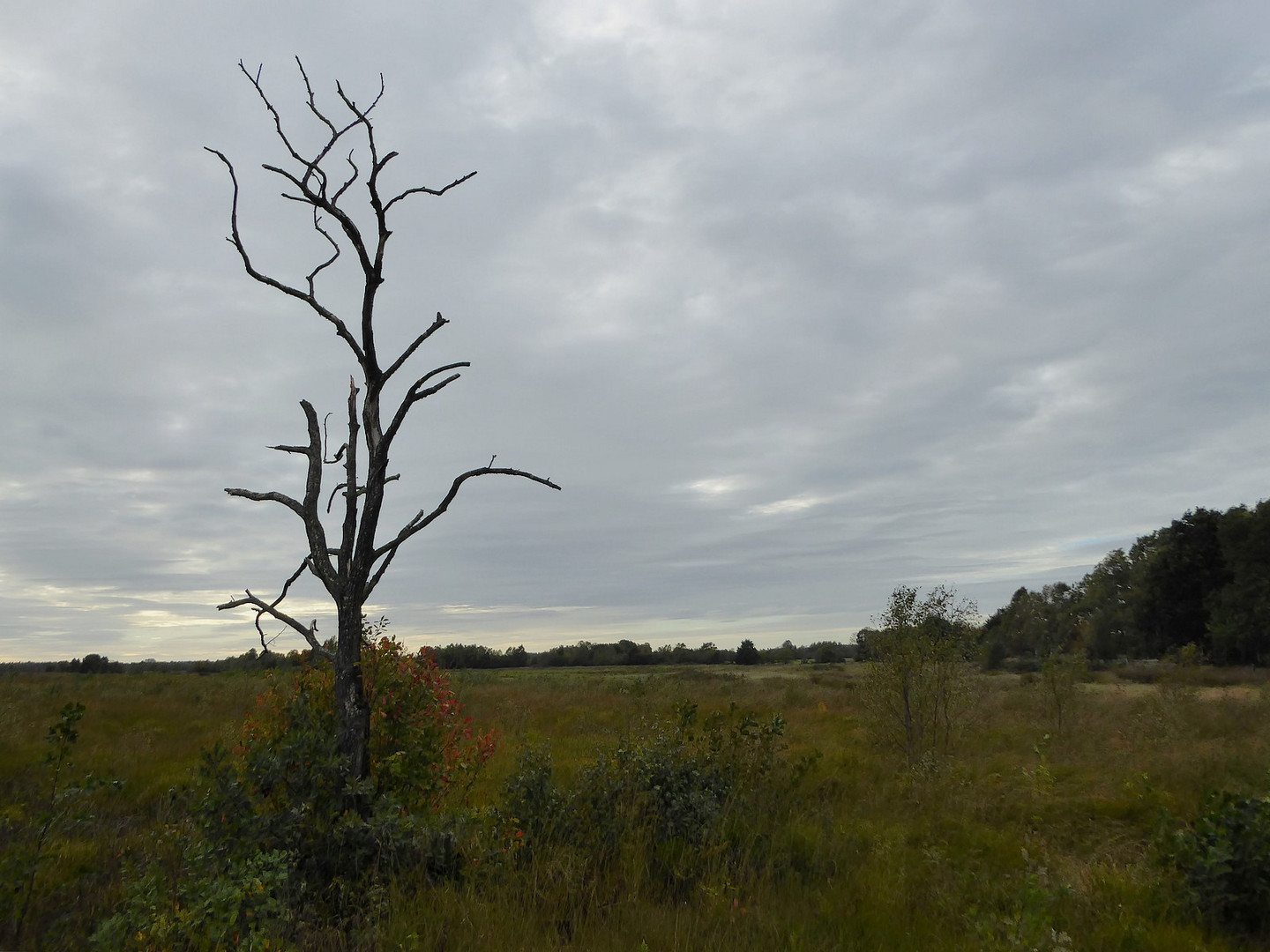 Herbstlandschaft 