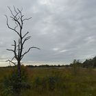 Herbstlandschaft 