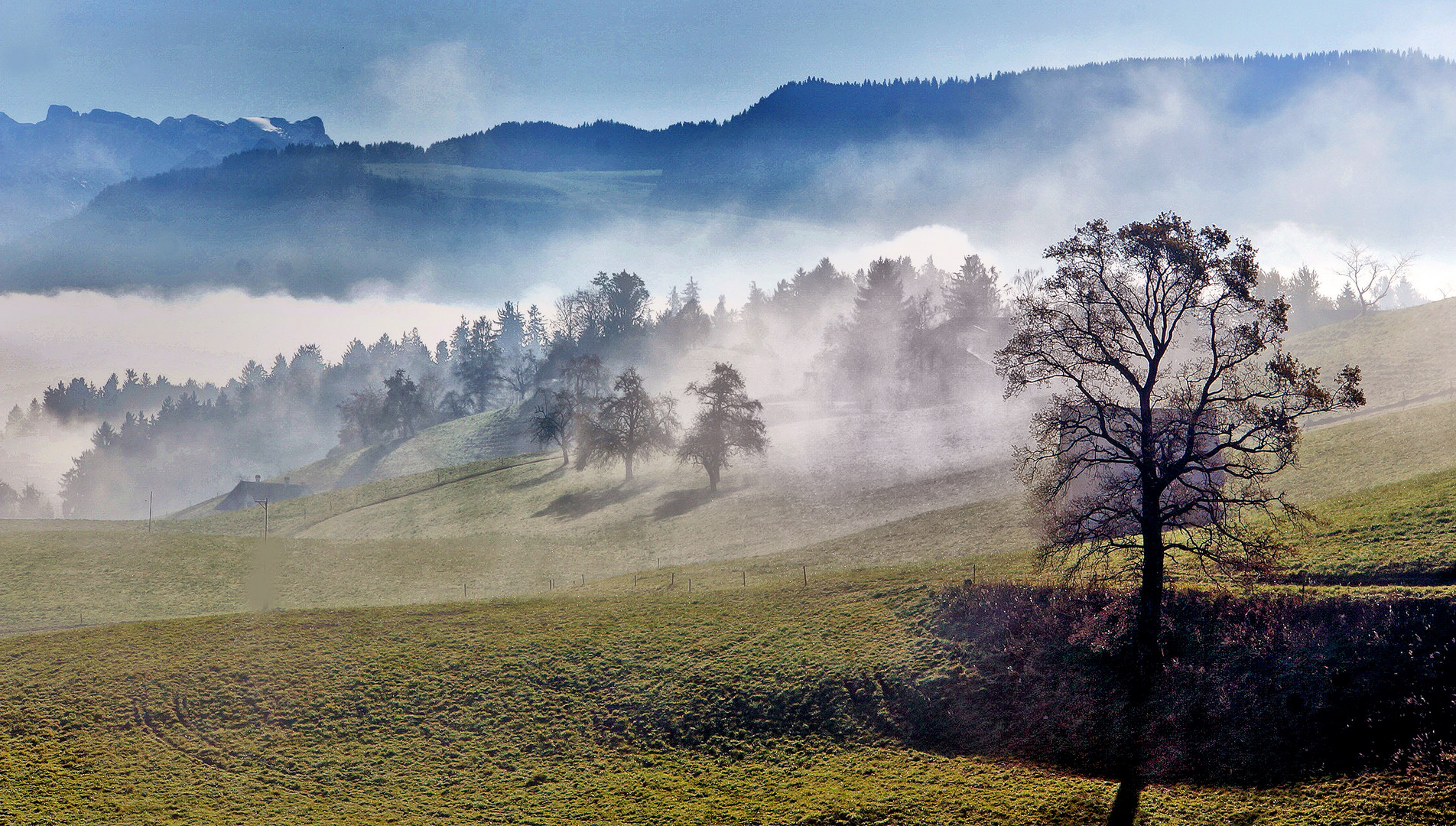 Herbstlandschaft