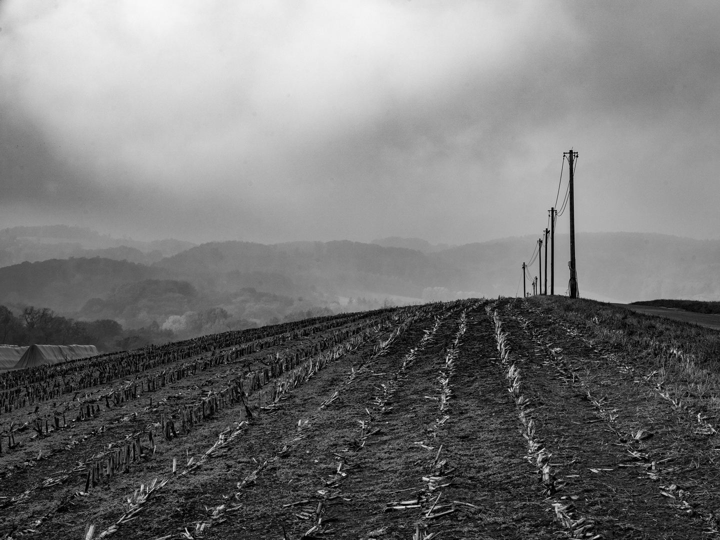 Herbstlandschaft Heiligenhaus