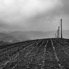 Herbstlandschaft Heiligenhaus