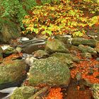 Herbstlandschaft Hohes Venn