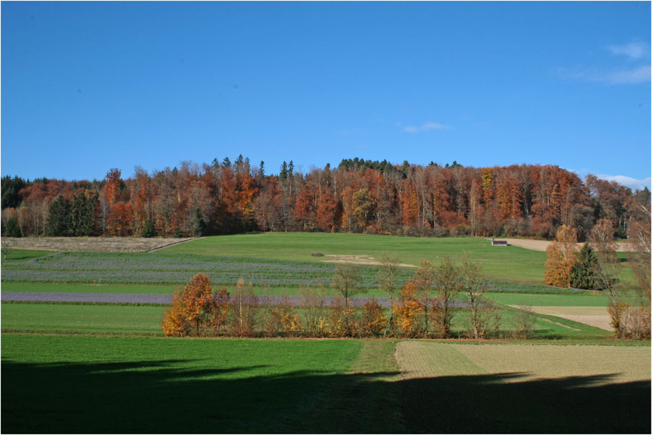 Herbstlandschaft I