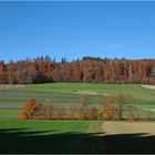 Herbstlandschaft I