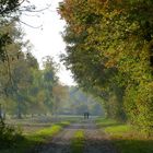 Herbstlandschaft I