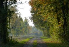 Herbstlandschaft I