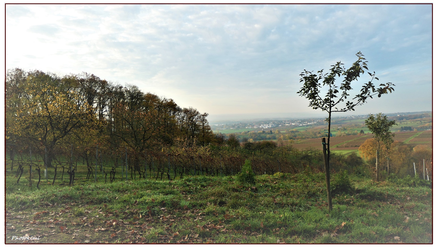 Herbstlandschaft (I)