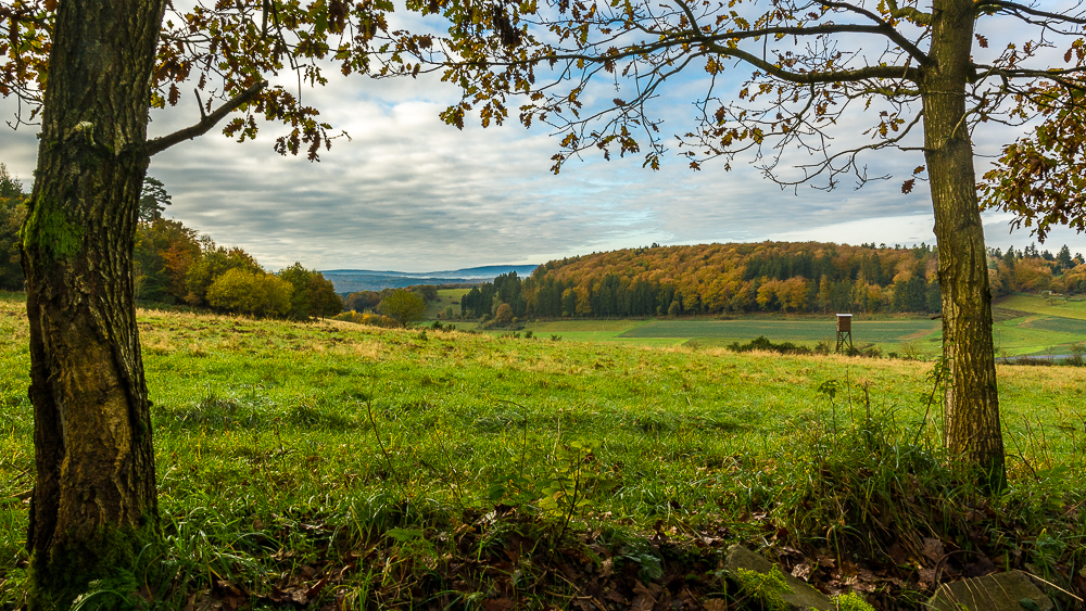 Herbstlandschaft II