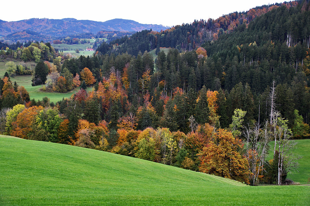 Herbstlandschaft im Allgäu