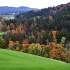 Herbstlandschaft im Allgäu