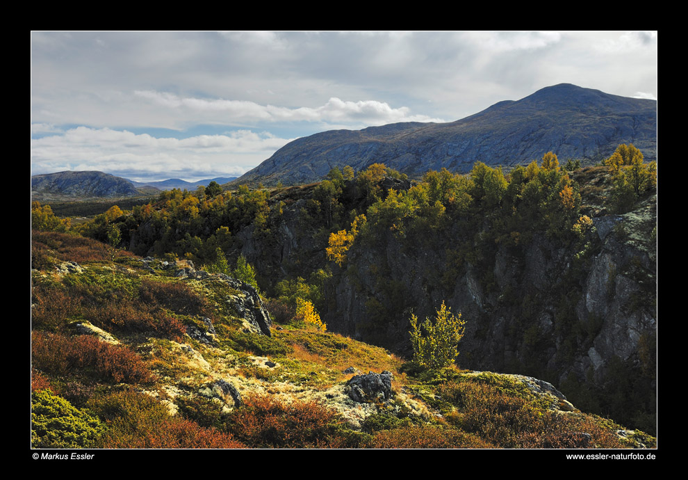 Herbstlandschaft im Grimsdalen • Oppland, Norwegen (86-21918)