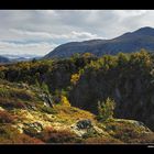 Herbstlandschaft im Grimsdalen • Oppland, Norwegen (86-21918)