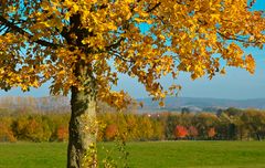 Herbstlandschaft im Lipperland