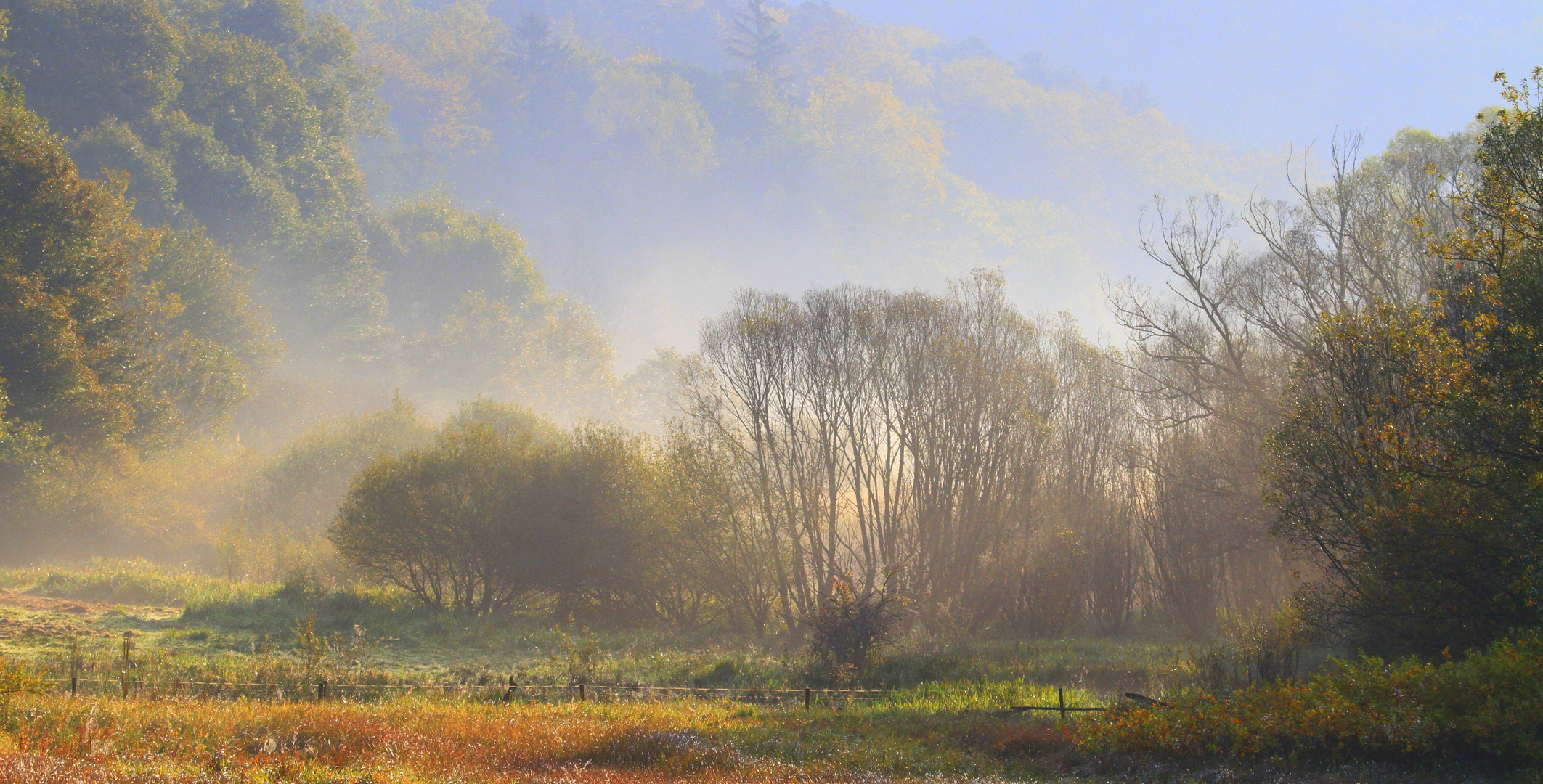 Herbstlandschaft im Morgennebel