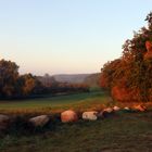 Herbstlandschaft im Naherholungsgebiet Kleine Heide bei Prenzlau