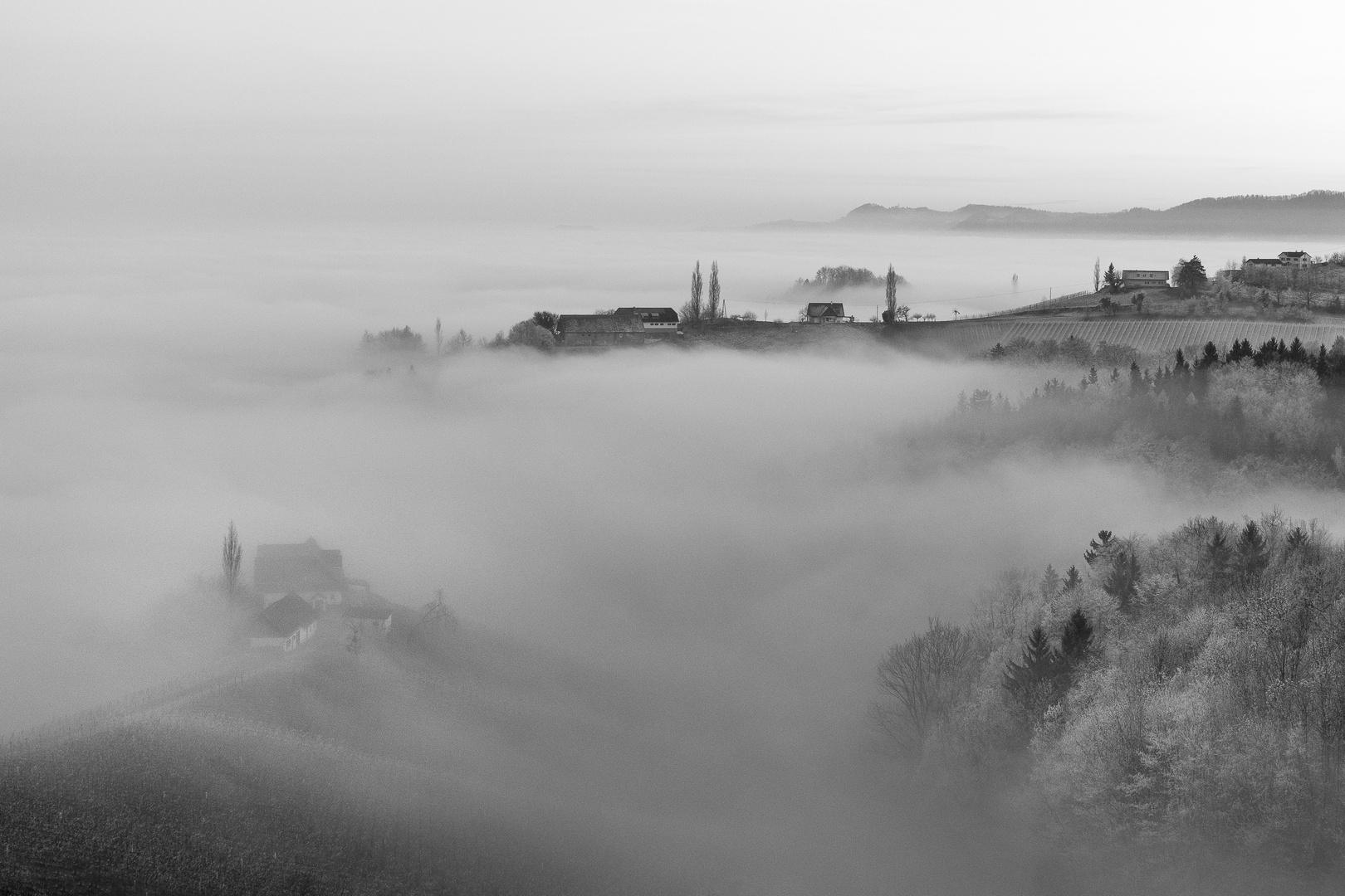 Herbstlandschaft im Nebel