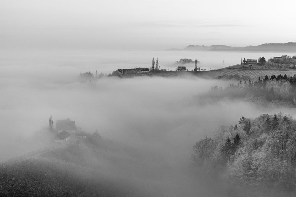 Herbstlandschaft im Nebel