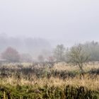 Herbstlandschaft im Nebel