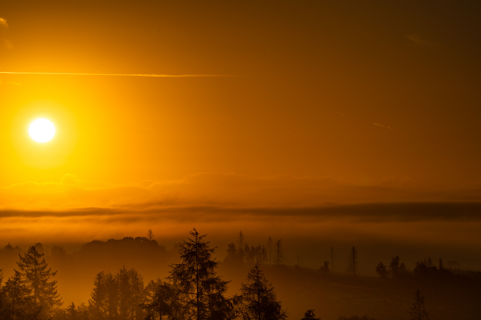 Herbstlandschaft im Nebel