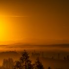 Herbstlandschaft im Nebel