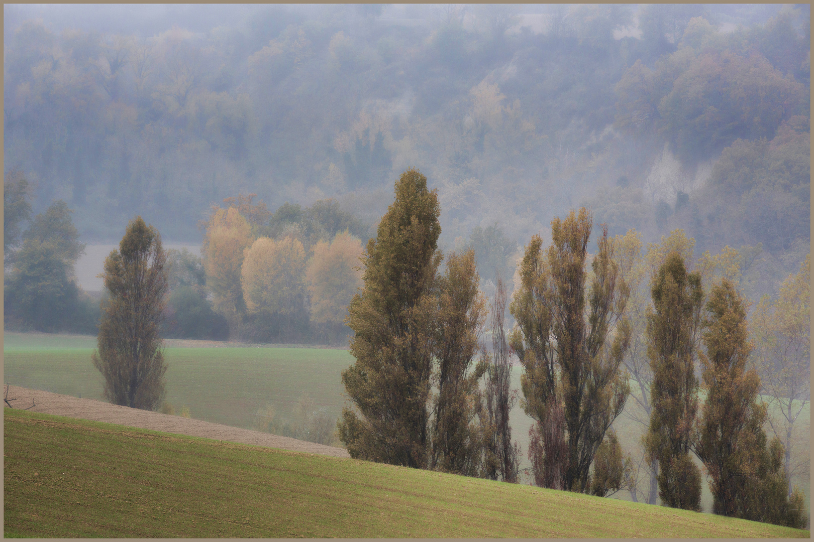 Herbstlandschaft im Nebel-Dunst