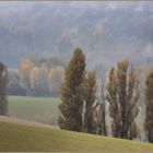 Herbstlandschaft im Nebel-Dunst