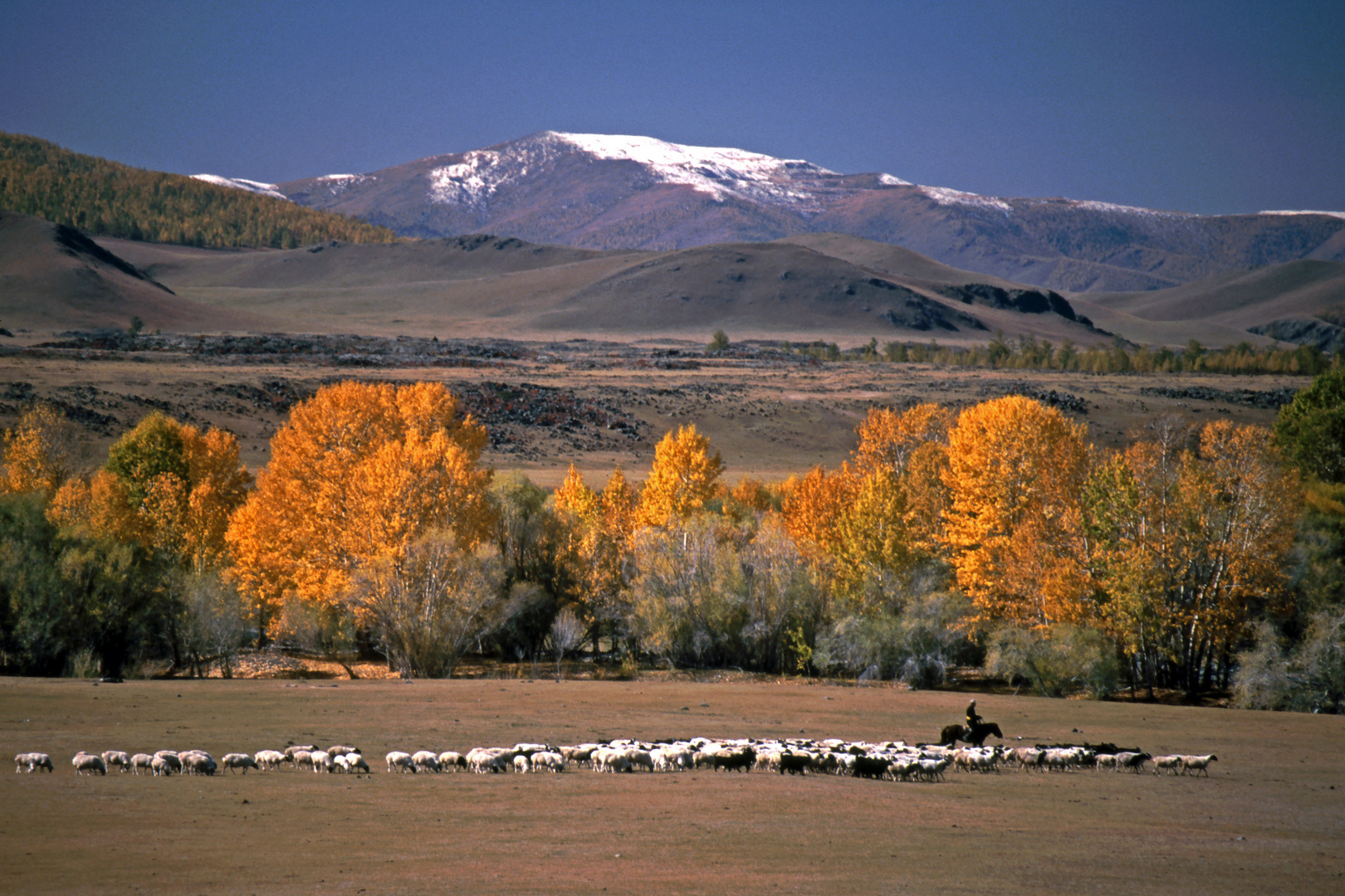 Herbstlandschaft im Norden der Mongolei