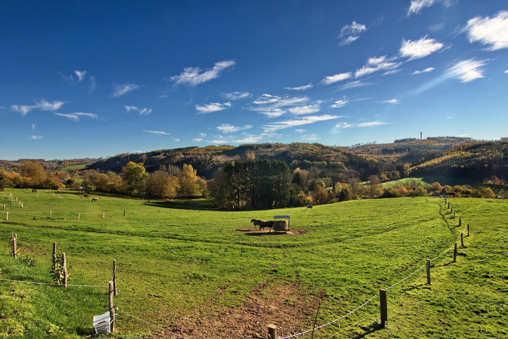 Herbstlandschaft im November