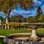 HERBSTLANDSCHAFT IM PARK