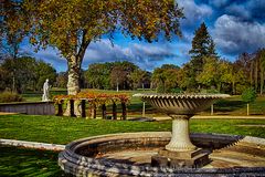 HERBSTLANDSCHAFT IM PARK