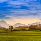 Herbstlandschaft im Pfaffenwinkel, Oberbayern