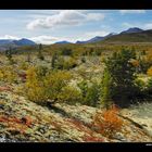 Herbstlandschaft im Rondane NP • Oppland, Norwegen (86-21930)