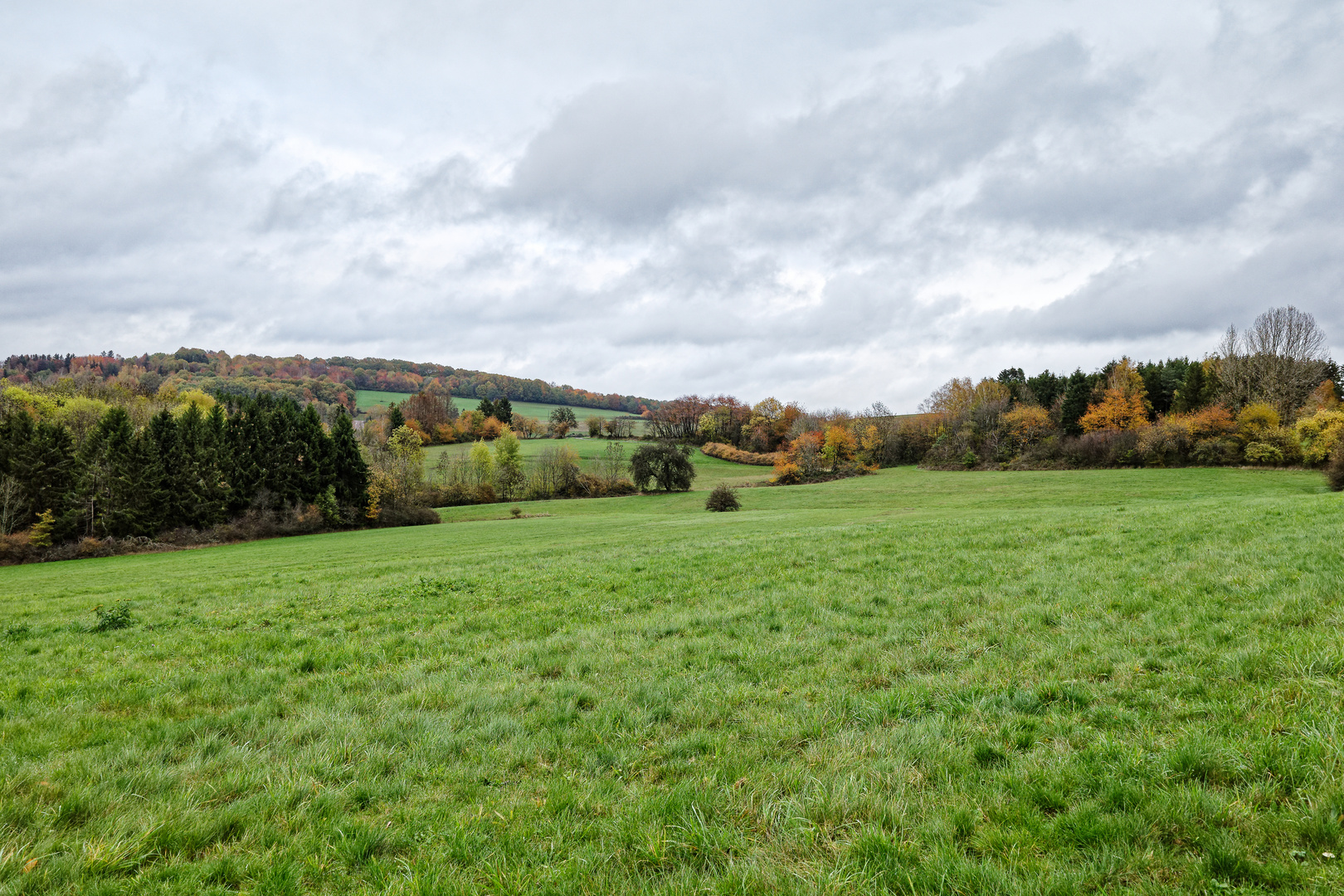 Herbstlandschaft im Saarland