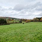 Herbstlandschaft im Saarland