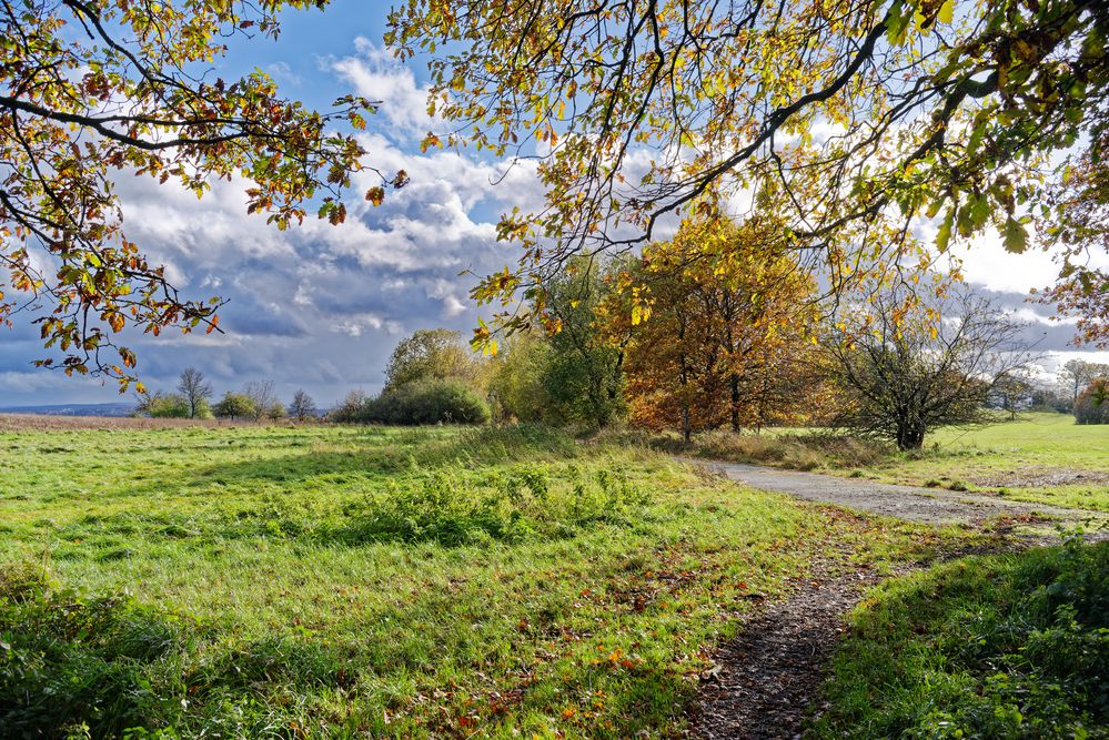 Herbstlandschaft im Saarland