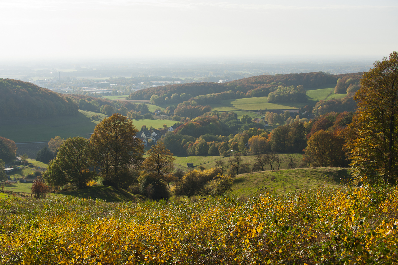 Herbstlandschaft im Teutoburger Wald