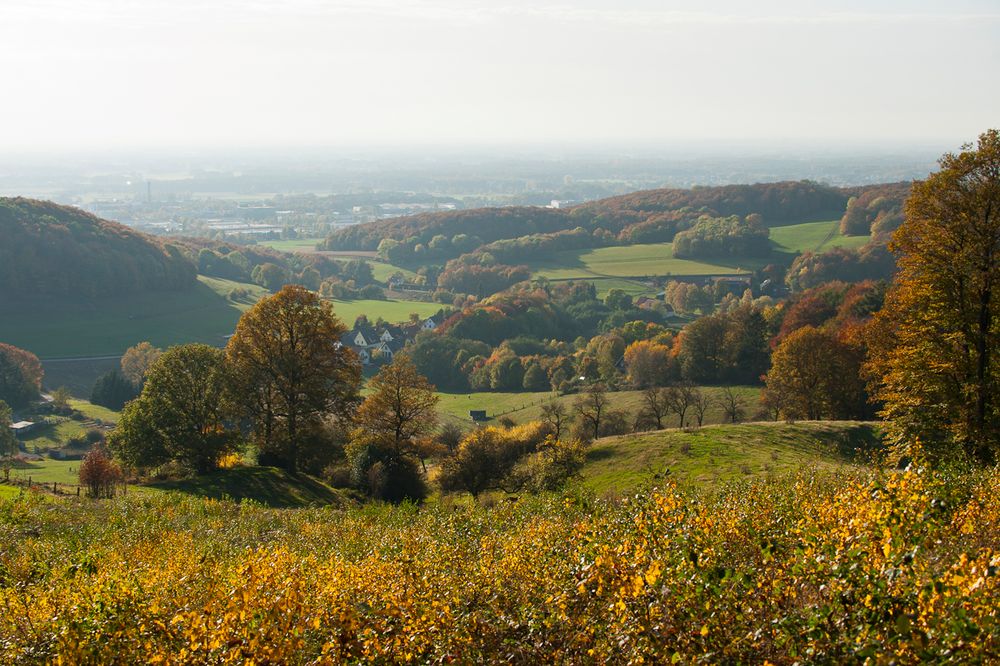 Herbstlandschaft im Teutoburger Wald