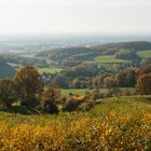 Herbstlandschaft im Teutoburger Wald