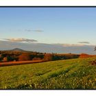 Herbstlandschaft in der Abendsonne