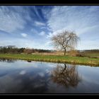 Herbstlandschaft in der Aue